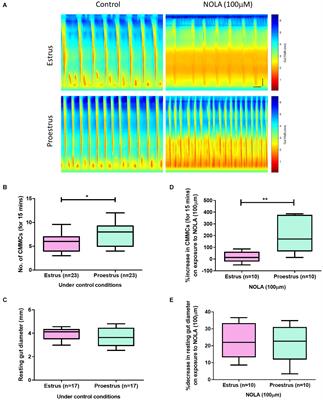 Nitric Oxide Regulates Estrus Cycle Dependent Colonic Motility in Mice